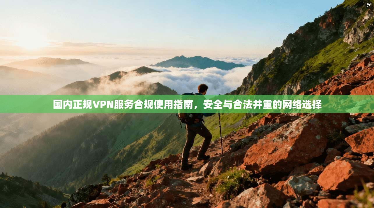 国内正规VPN服务合规使用指南，安全与合法并重的网络选择