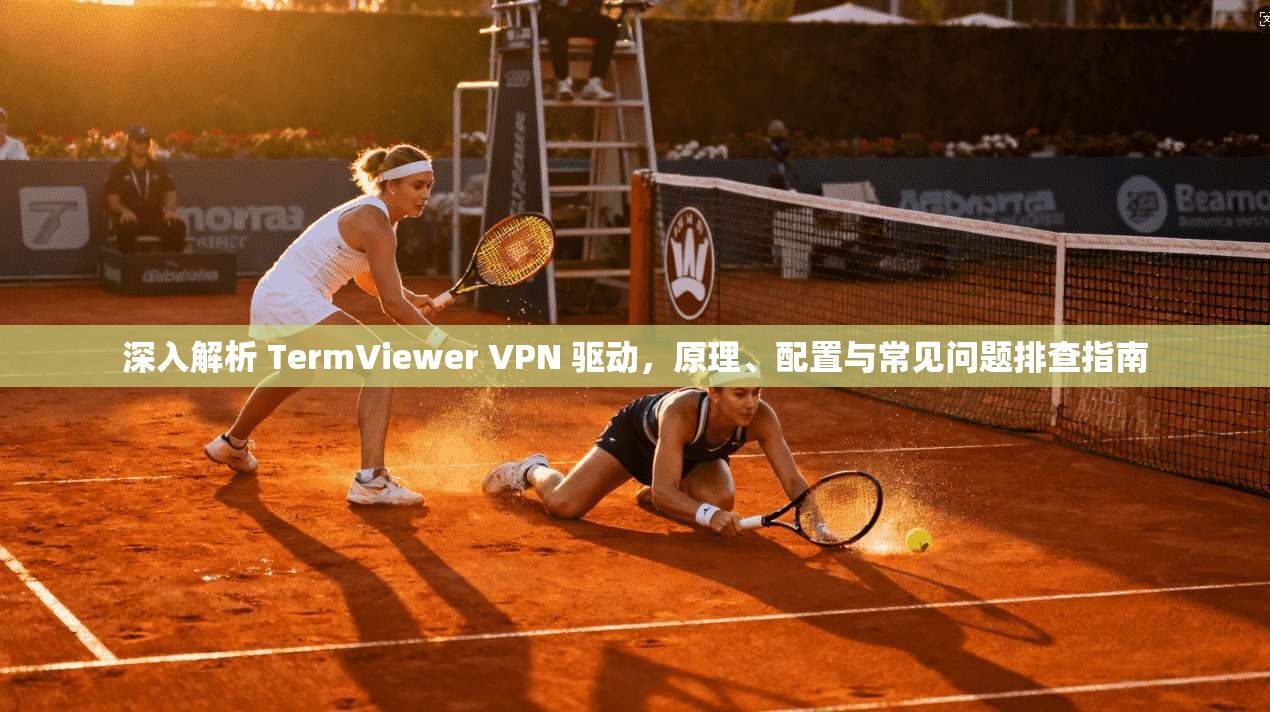 深入解析 TermViewer VPN 驱动，原理、配置与常见问题排查指南