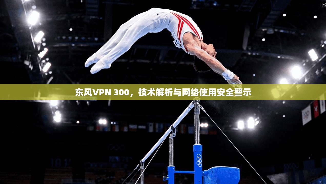 东风VPN 300，技术解析与网络使用安全警示
