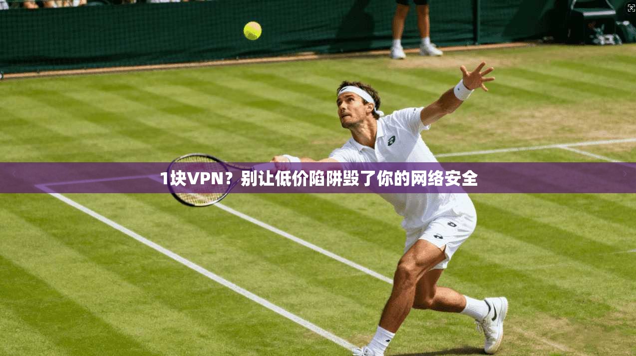 1块VPN？别让低价陷阱毁了你的网络安全