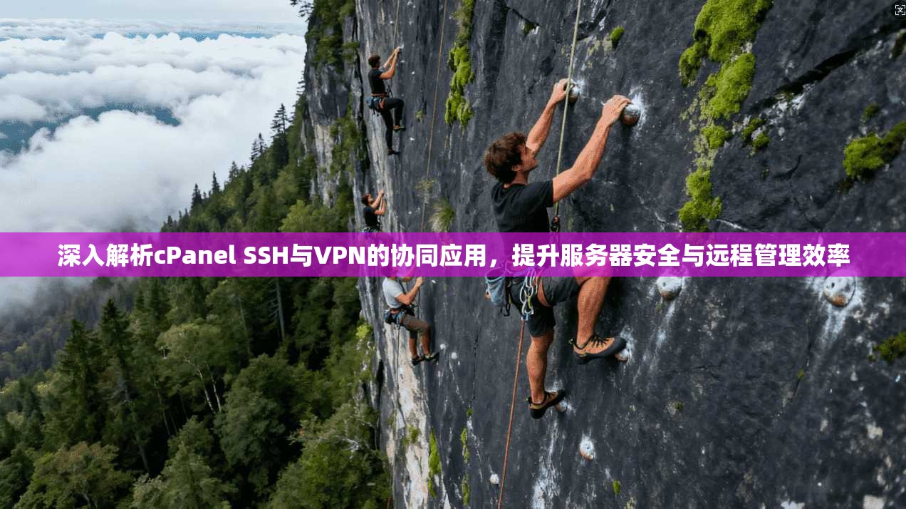 深入解析cPanel SSH与VPN的协同应用，提升服务器安全与远程管理效率