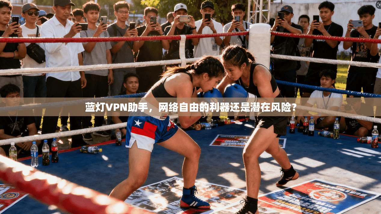 蓝灯VPN助手，网络自由的利器还是潜在风险？