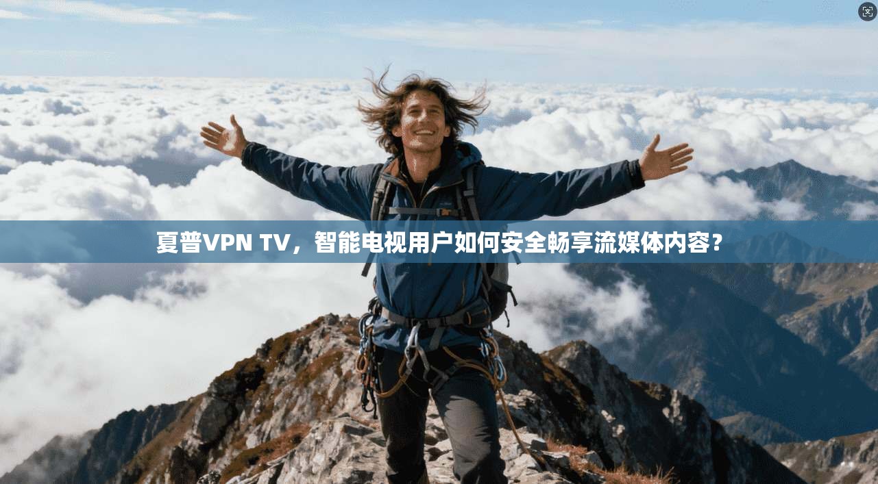 夏普VPN TV，智能电视用户如何安全畅享流媒体内容？