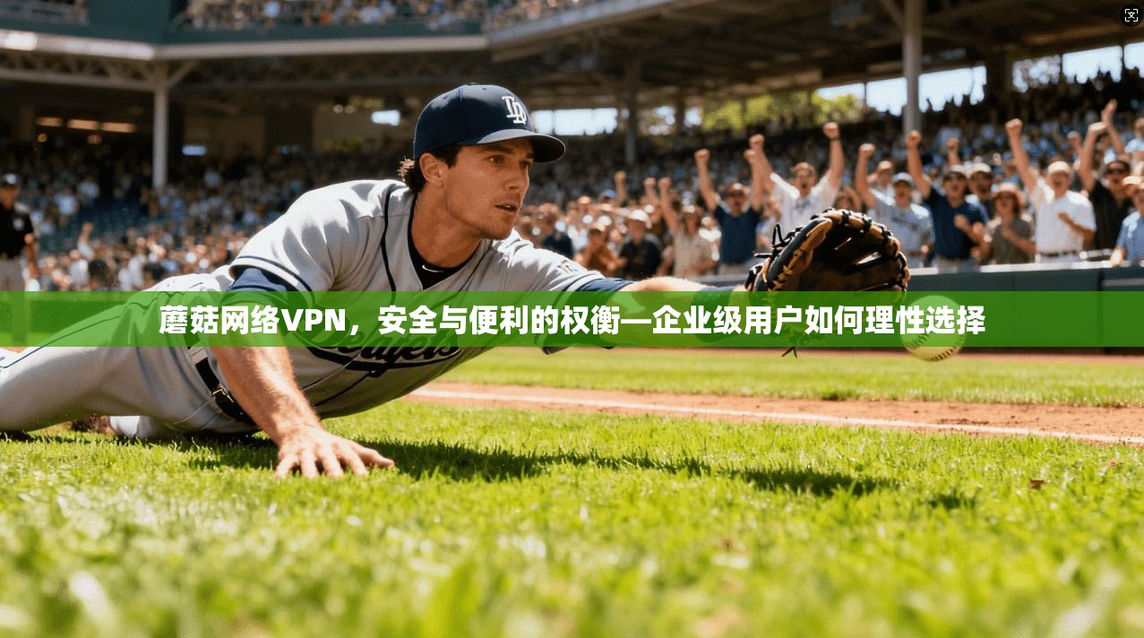 蘑菇网络VPN，安全与便利的权衡—企业级用户如何理性选择