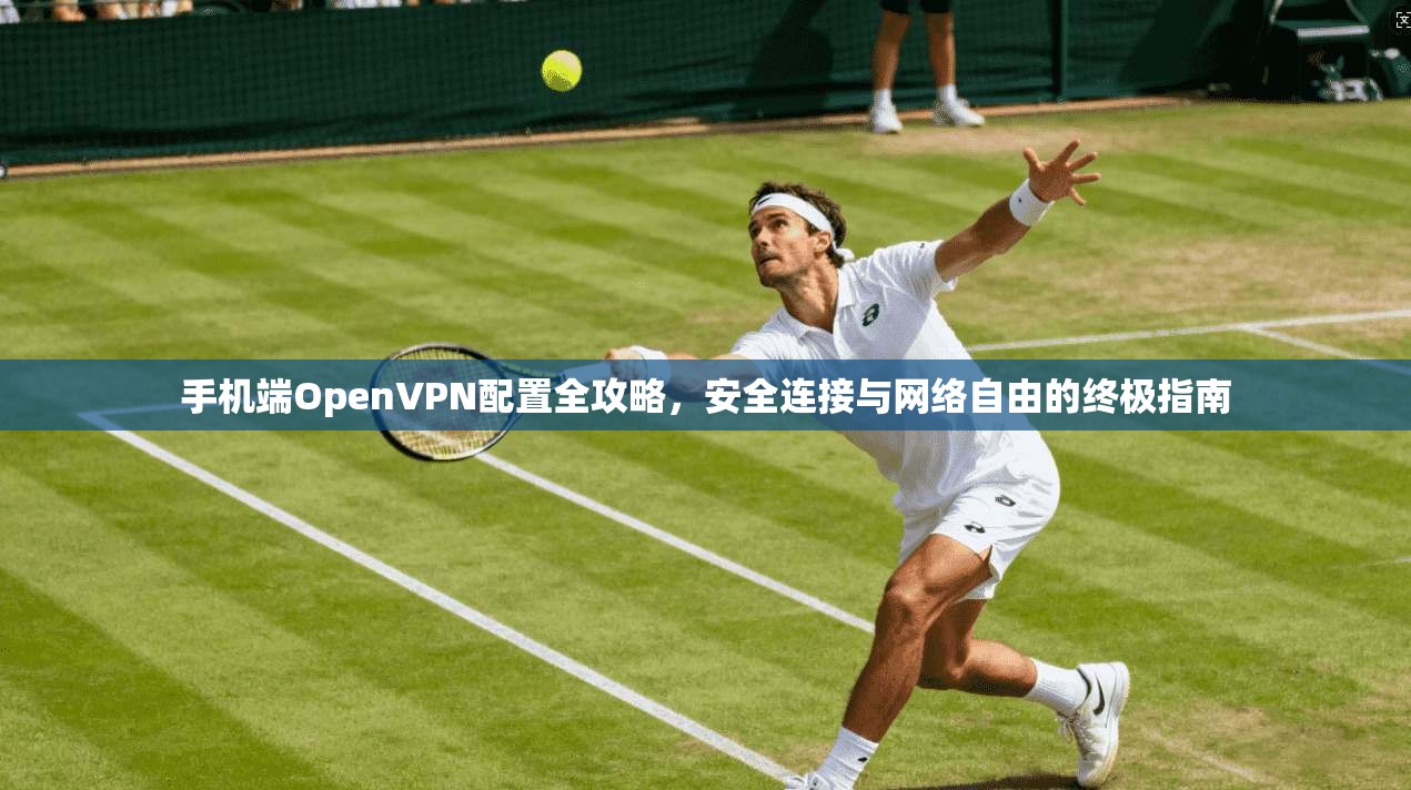 手机端OpenVPN配置全攻略，安全连接与网络自由的终极指南