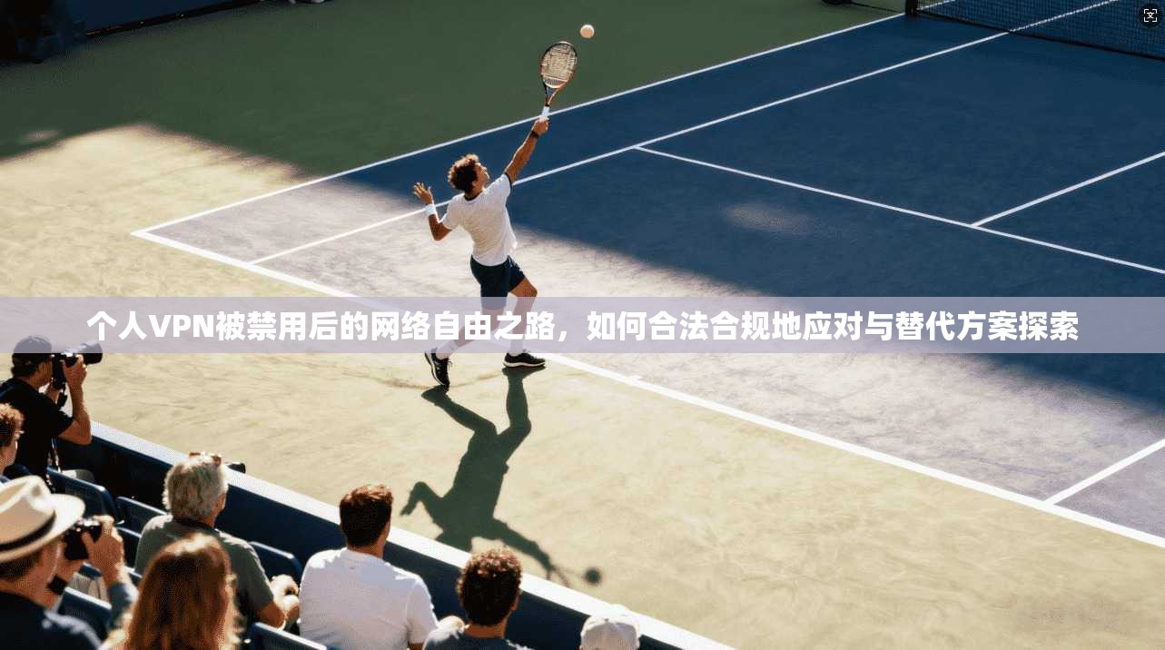 个人VPN被禁用后的网络自由之路，如何合法合规地应对与替代方案探索