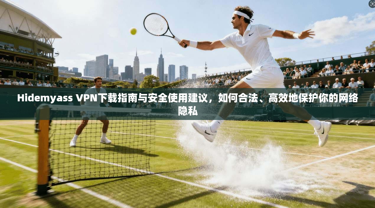 Hidemyass VPN下载指南与安全使用建议，如何合法、高效地保护你的网络隐私