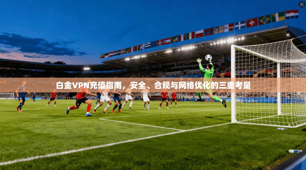 白金VPN充值指南，安全、合规与网络优化的三重考量