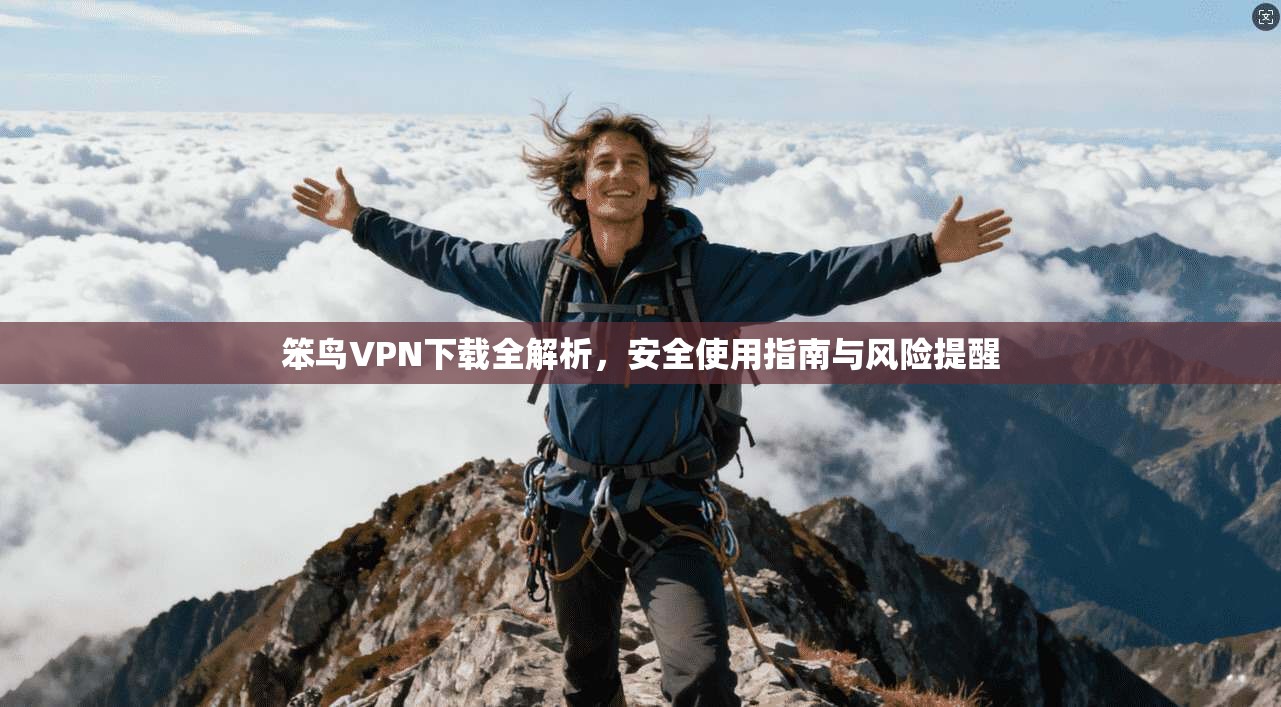 笨鸟VPN下载全解析，安全使用指南与风险提醒
