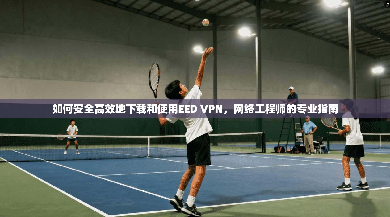 如何安全高效地下载和使用EED VPN，网络工程师的专业指南