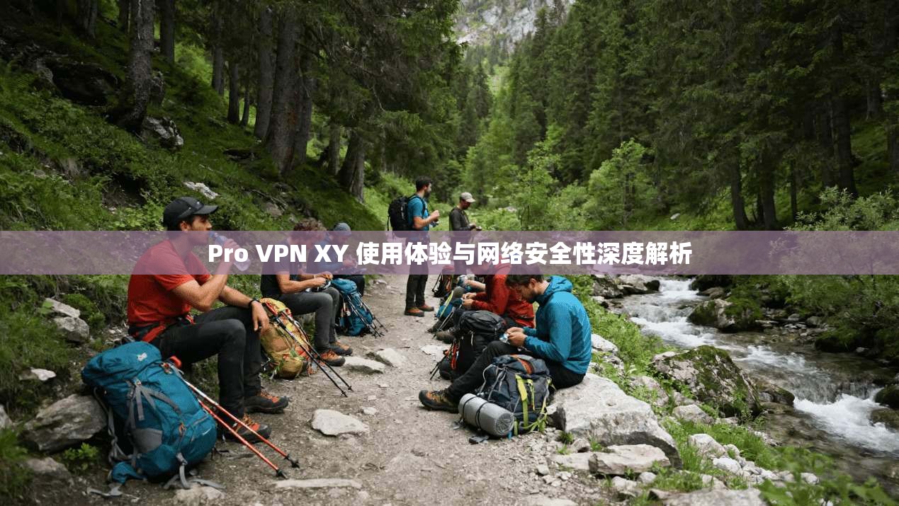 Pro VPN XY 使用体验与网络安全性深度解析