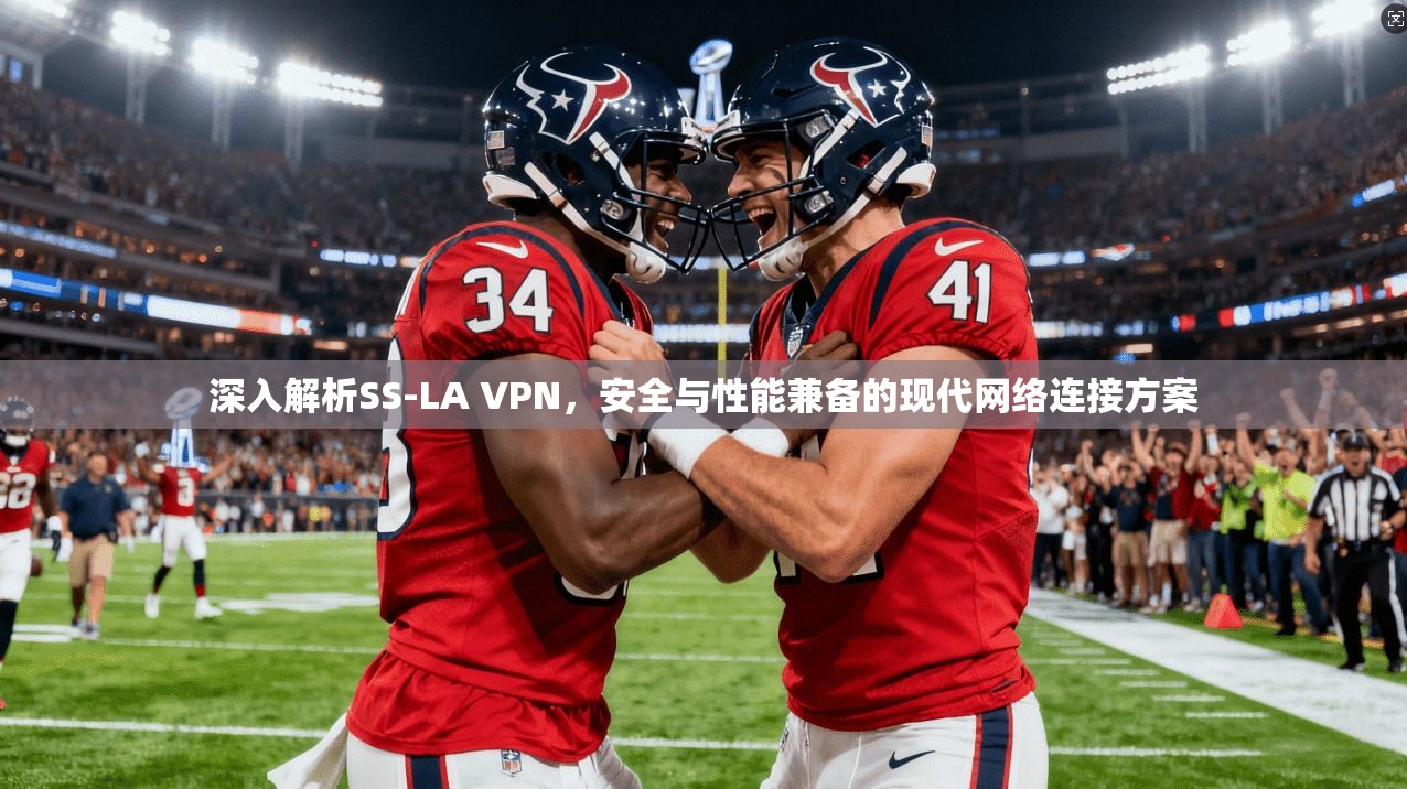 深入解析SS-LA VPN，安全与性能兼备的现代网络连接方案