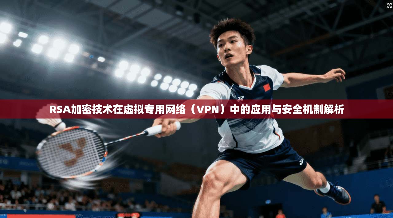 RSA加密技术在虚拟专用网络（VPN）中的应用与安全机制解析