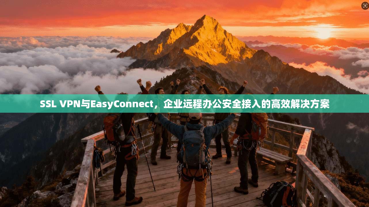 SSL VPN与EasyConnect，企业远程办公安全接入的高效解决方案