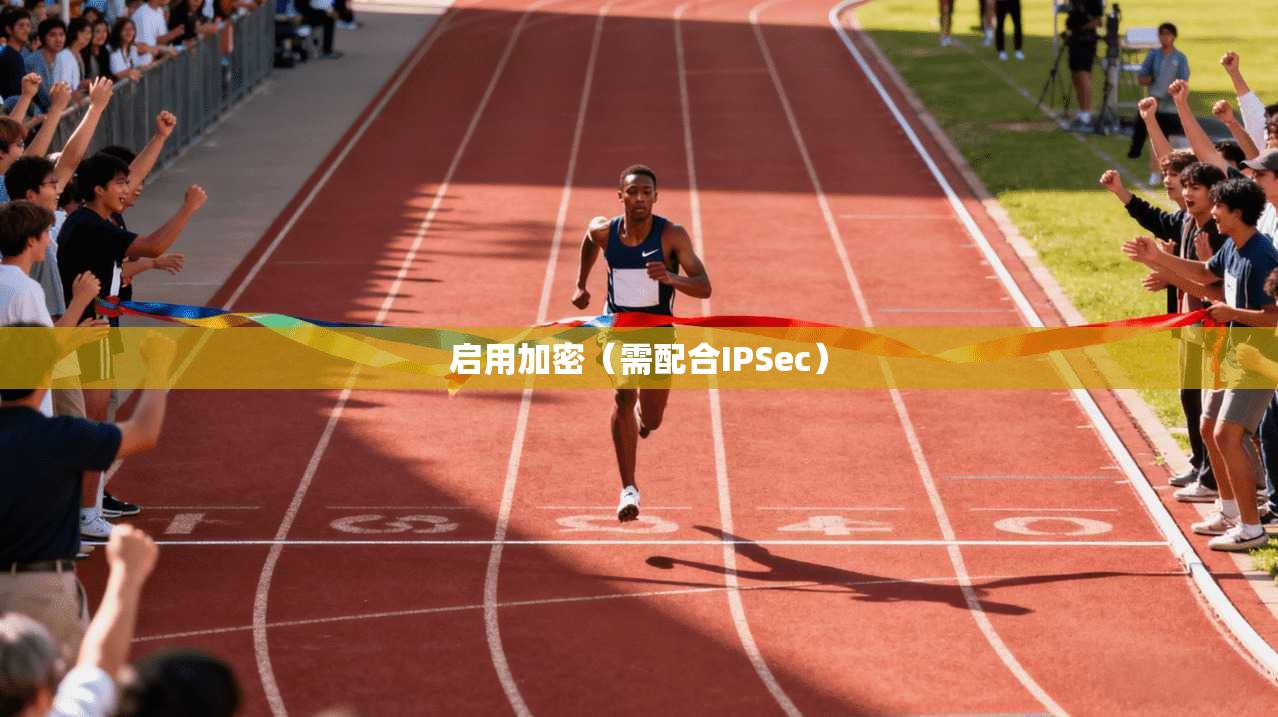 启用加密（需配合IPSec）