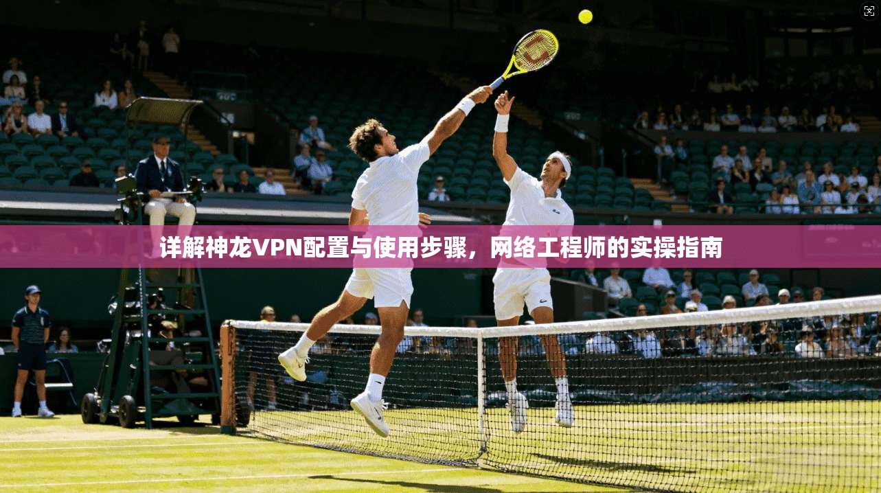 详解神龙VPN配置与使用步骤，网络工程师的实操指南