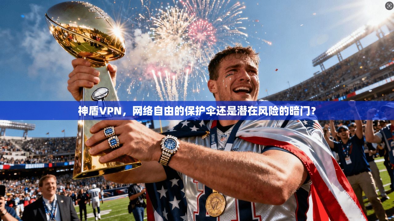 神盾VPN，网络自由的保护伞还是潜在风险的暗门？
