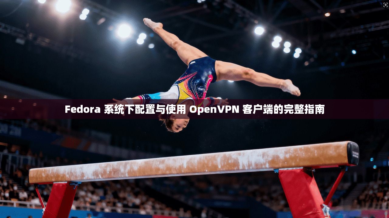 Fedora 系统下配置与使用 OpenVPN 客户端的完整指南