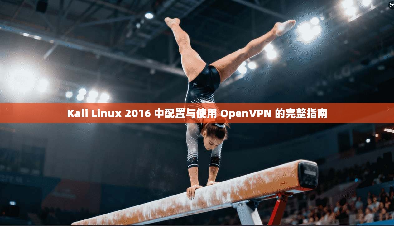Kali Linux 2016 中配置与使用 OpenVPN 的完整指南