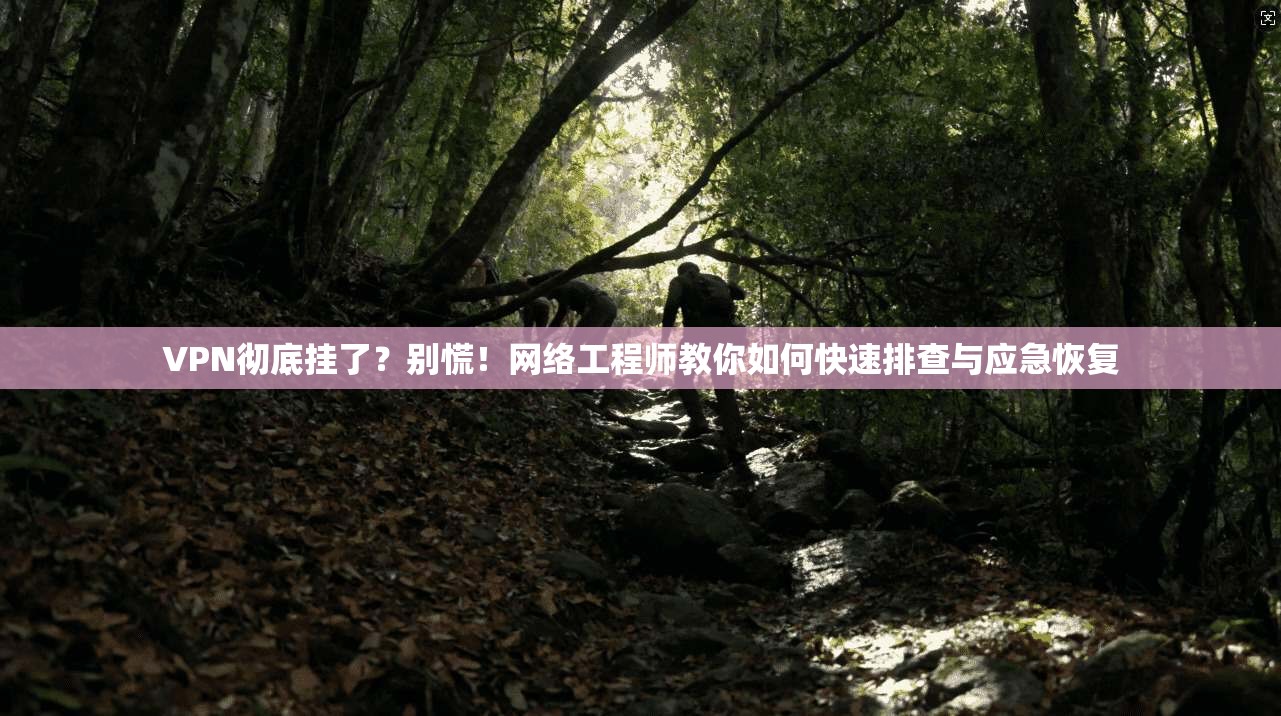 VPN彻底挂了？别慌！网络工程师教你如何快速排查与应急恢复