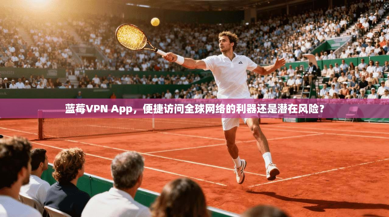 蓝莓VPN App，便捷访问全球网络的利器还是潜在风险？