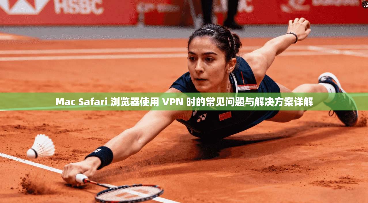 Mac Safari 浏览器使用 VPN 时的常见问题与解决方案详解