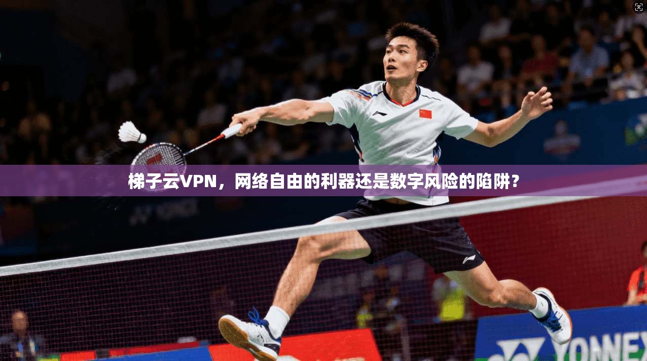 梯子云VPN，网络自由的利器还是数字风险的陷阱？
