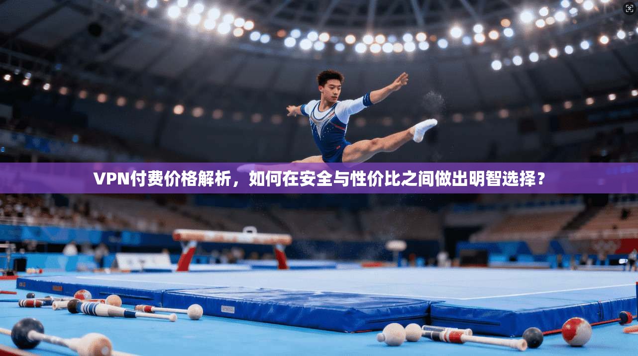 VPN付费价格解析，如何在安全与性价比之间做出明智选择？