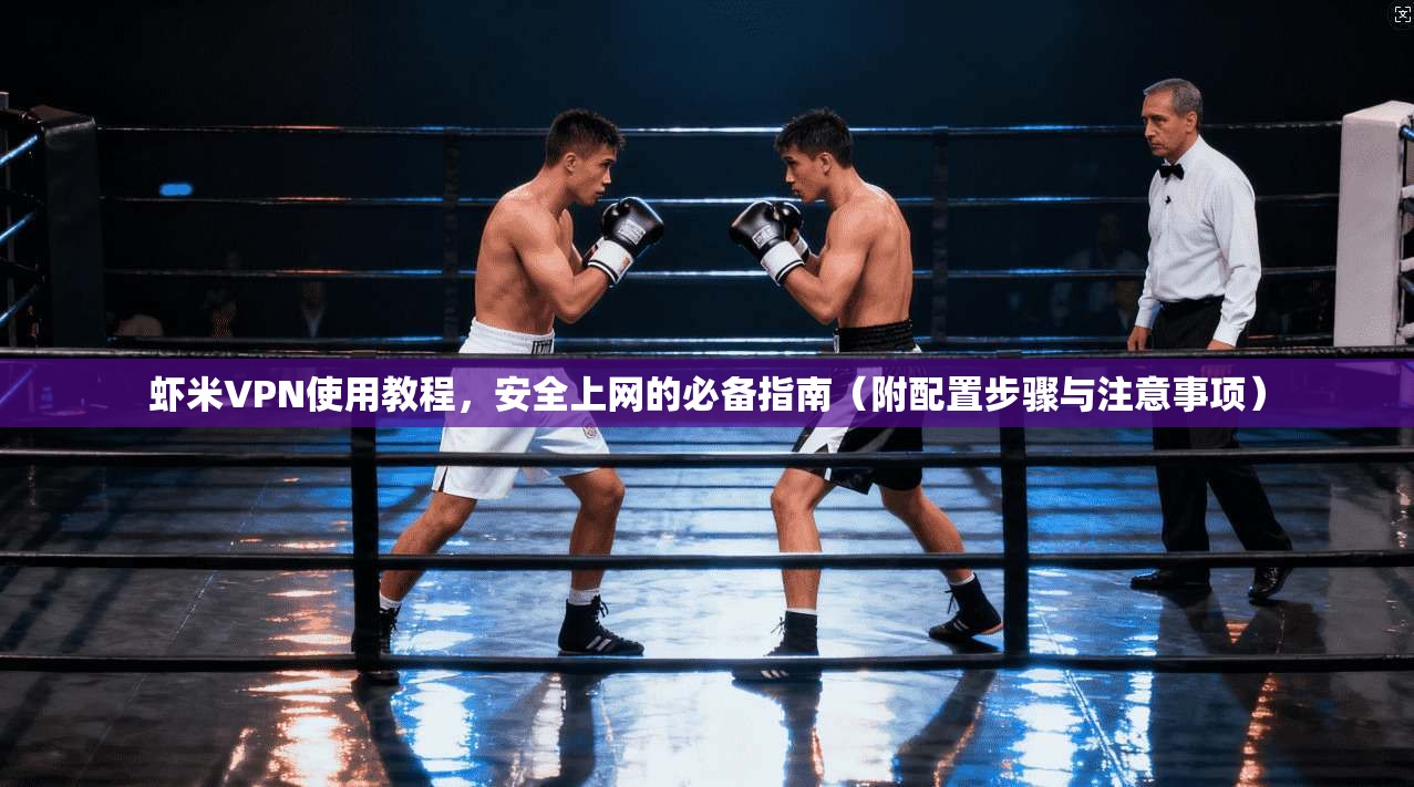虾米VPN使用教程，安全上网的必备指南（附配置步骤与注意事项）