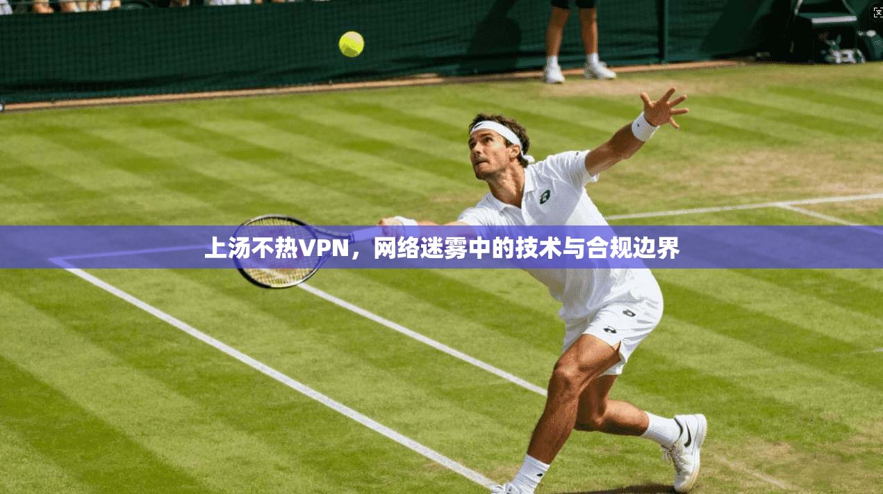 上汤不热VPN，网络迷雾中的技术与合规边界