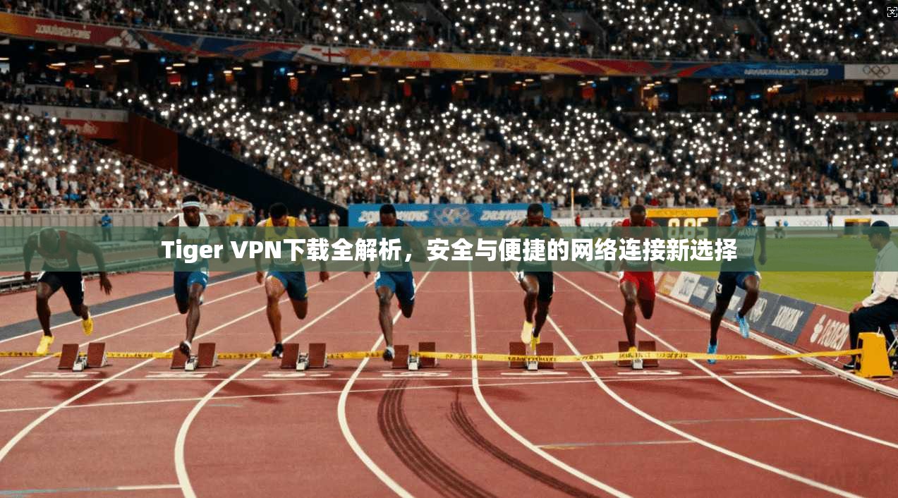 Tiger VPN下载全解析，安全与便捷的网络连接新选择