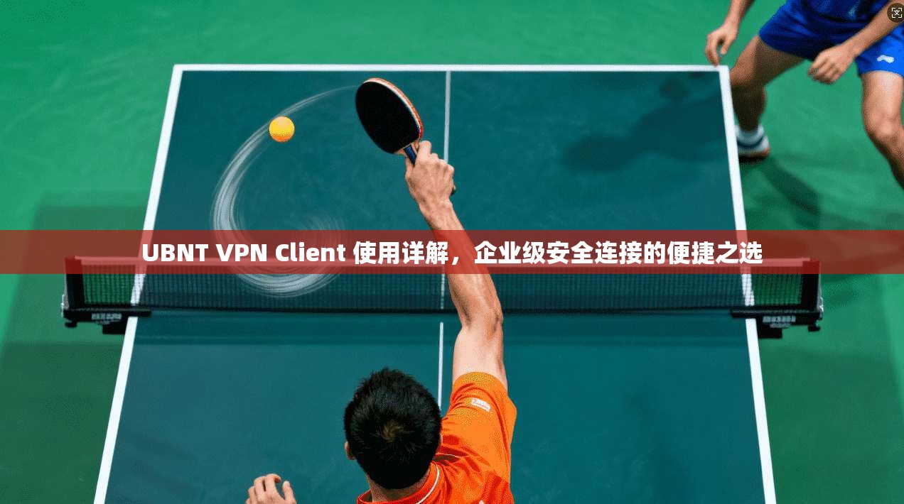 UBNT VPN Client 使用详解，企业级安全连接的便捷之选