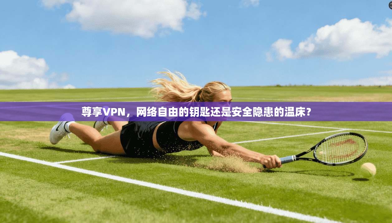 尊享VPN，网络自由的钥匙还是安全隐患的温床？