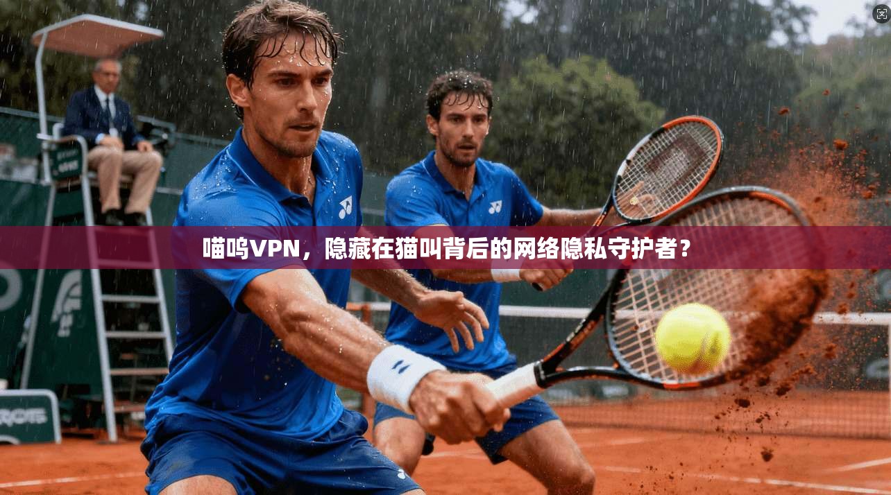喵呜VPN，隐藏在猫叫背后的网络隐私守护者？