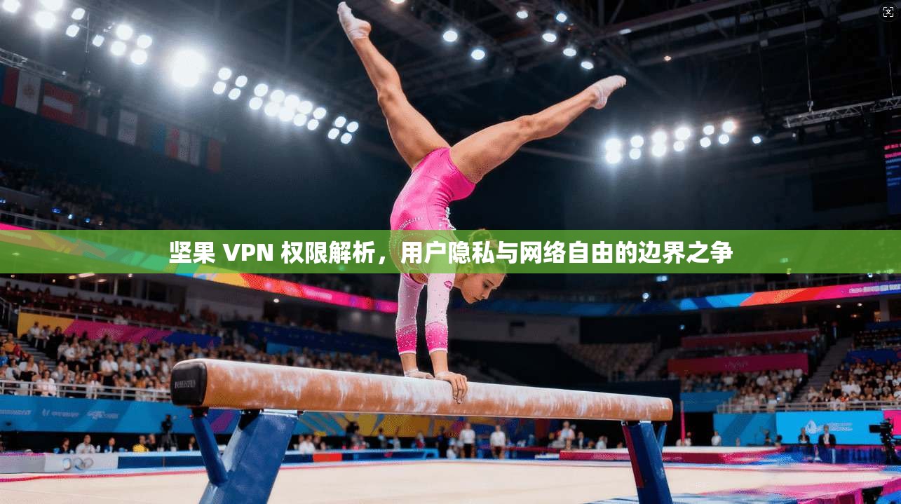 坚果 VPN 权限解析，用户隐私与网络自由的边界之争