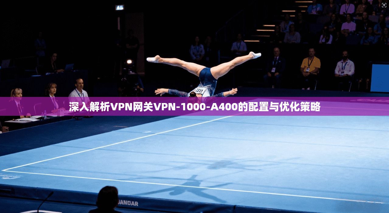 深入解析VPN网关VPN-1000-A400的配置与优化策略