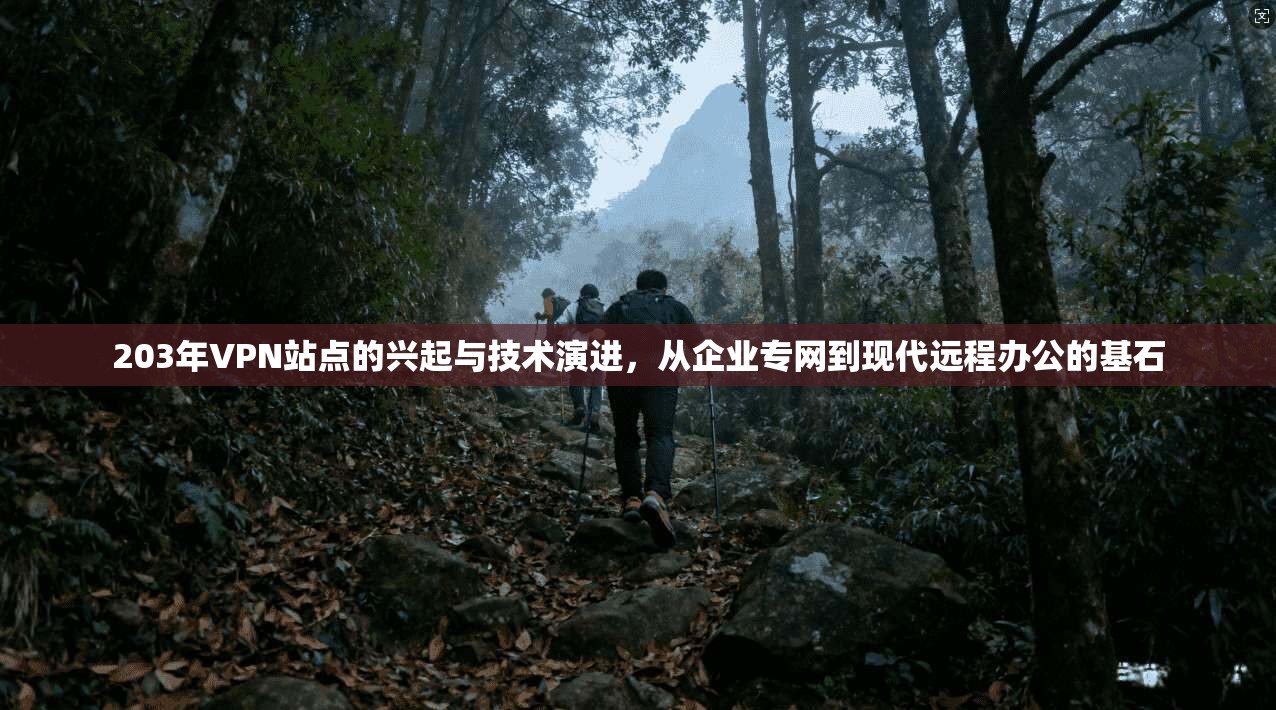 203年VPN站点的兴起与技术演进，从企业专网到现代远程办公的基石