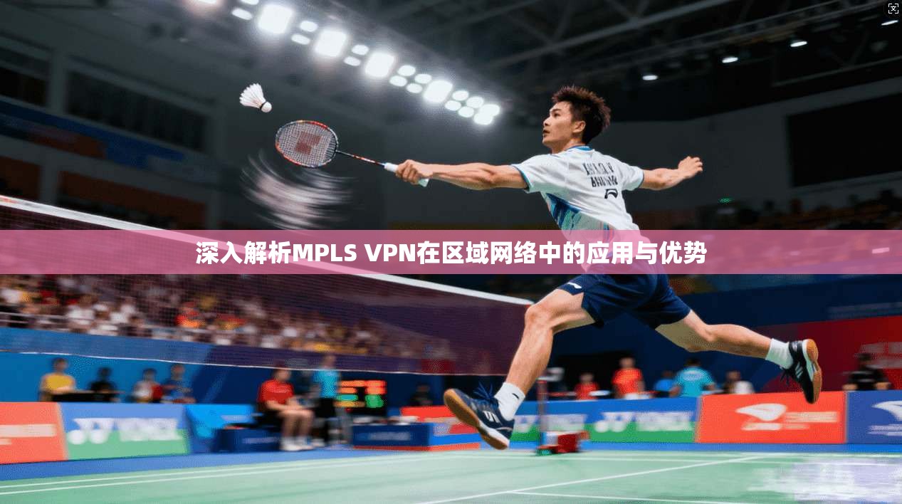 深入解析MPLS VPN在区域网络中的应用与优势