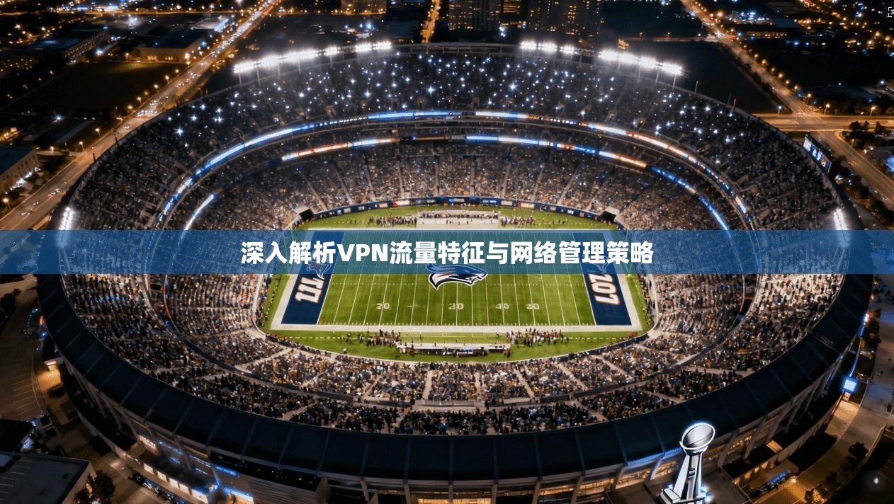 深入解析VPN流量特征与网络管理策略