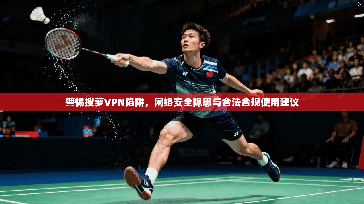 警惕搜萝VPN陷阱，网络安全隐患与合法合规使用建议