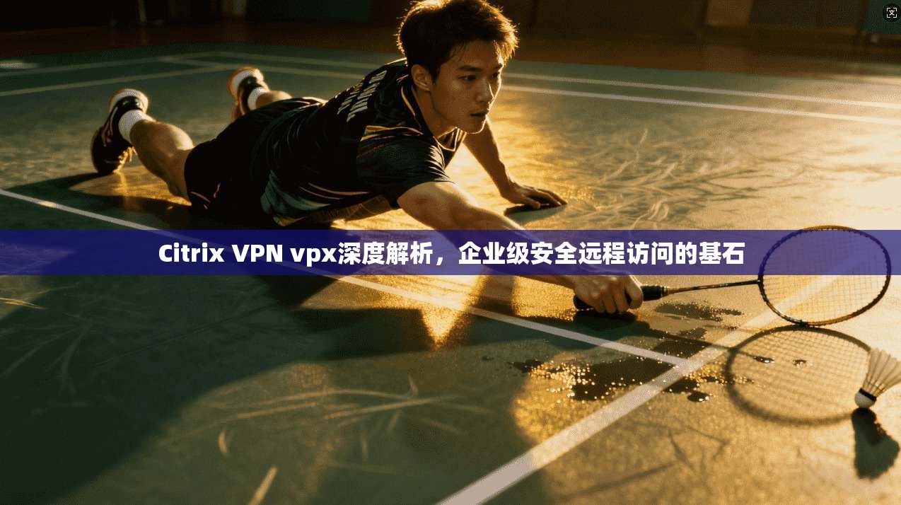Citrix VPN vpx深度解析，企业级安全远程访问的基石