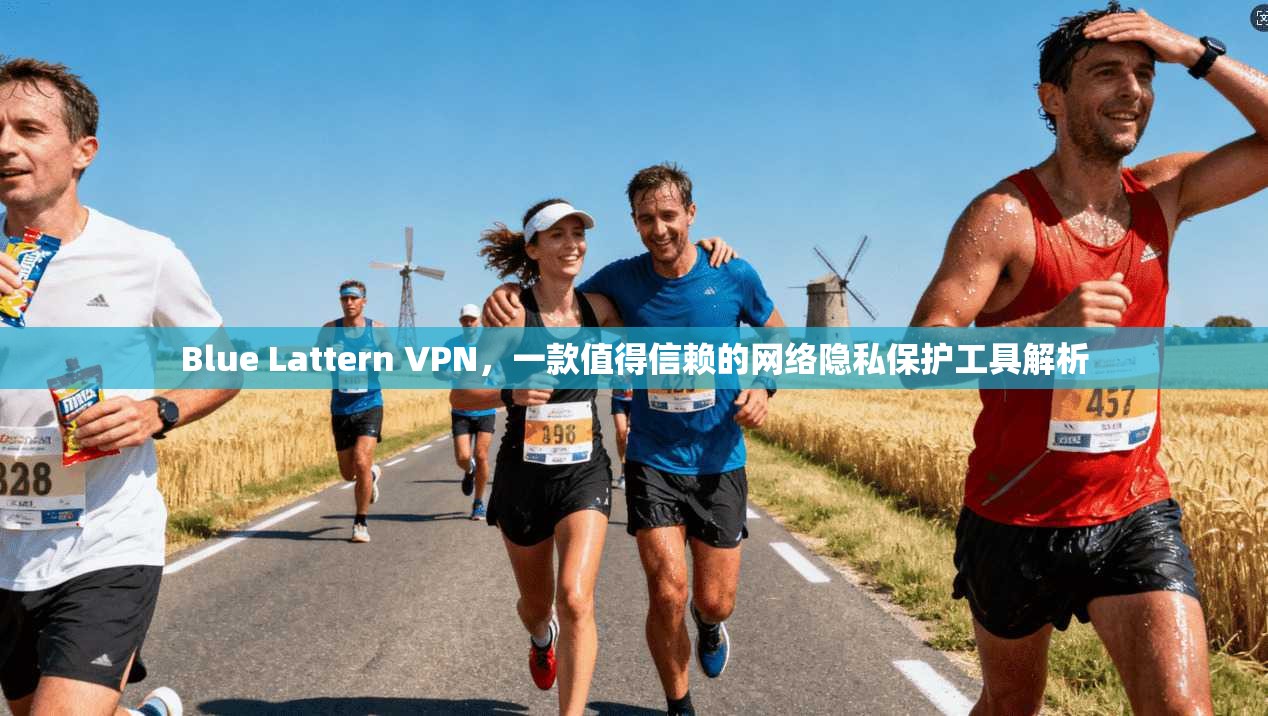 Blue Lattern VPN，一款值得信赖的网络隐私保护工具解析