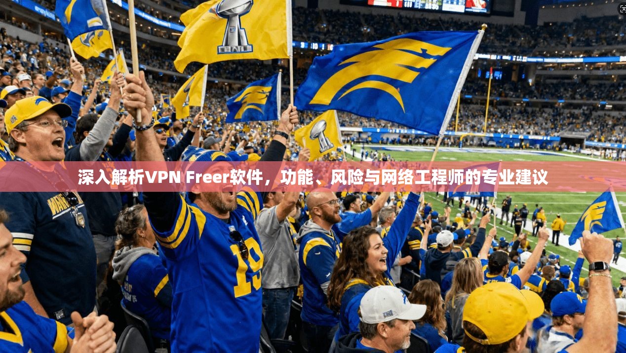 深入解析VPN Freer软件，功能、风险与网络工程师的专业建议