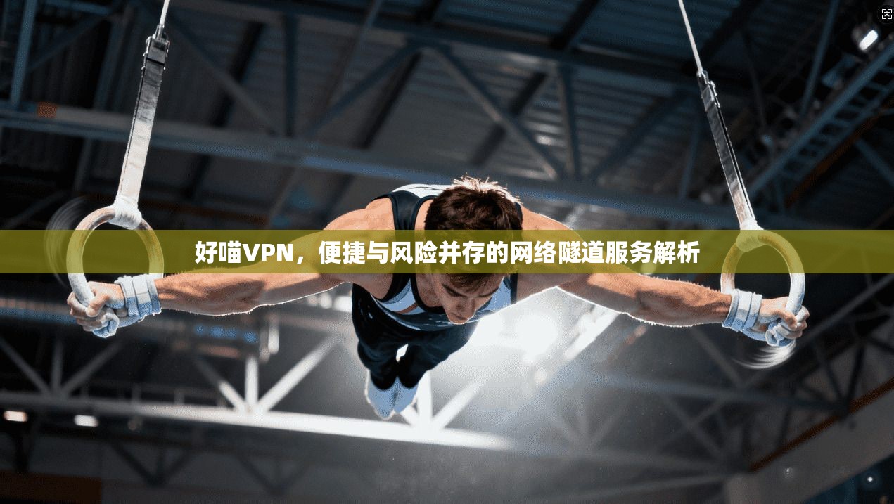 好喵VPN,便捷与风险并存的网络隧道服务解析 好喵VPN,便捷与风险并存的网络隧道服务解析