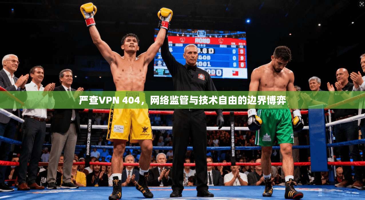 严查VPN 404，网络监管与技术自由的边界博弈