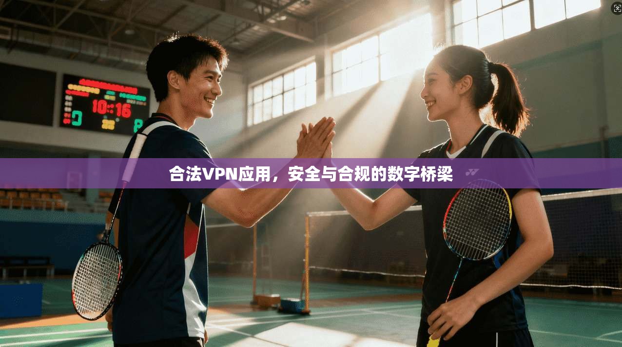 合法VPN应用，安全与合规的数字桥梁