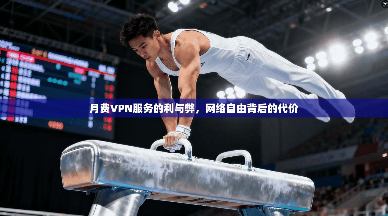 月费VPN服务的利与弊，网络自由背后的代价