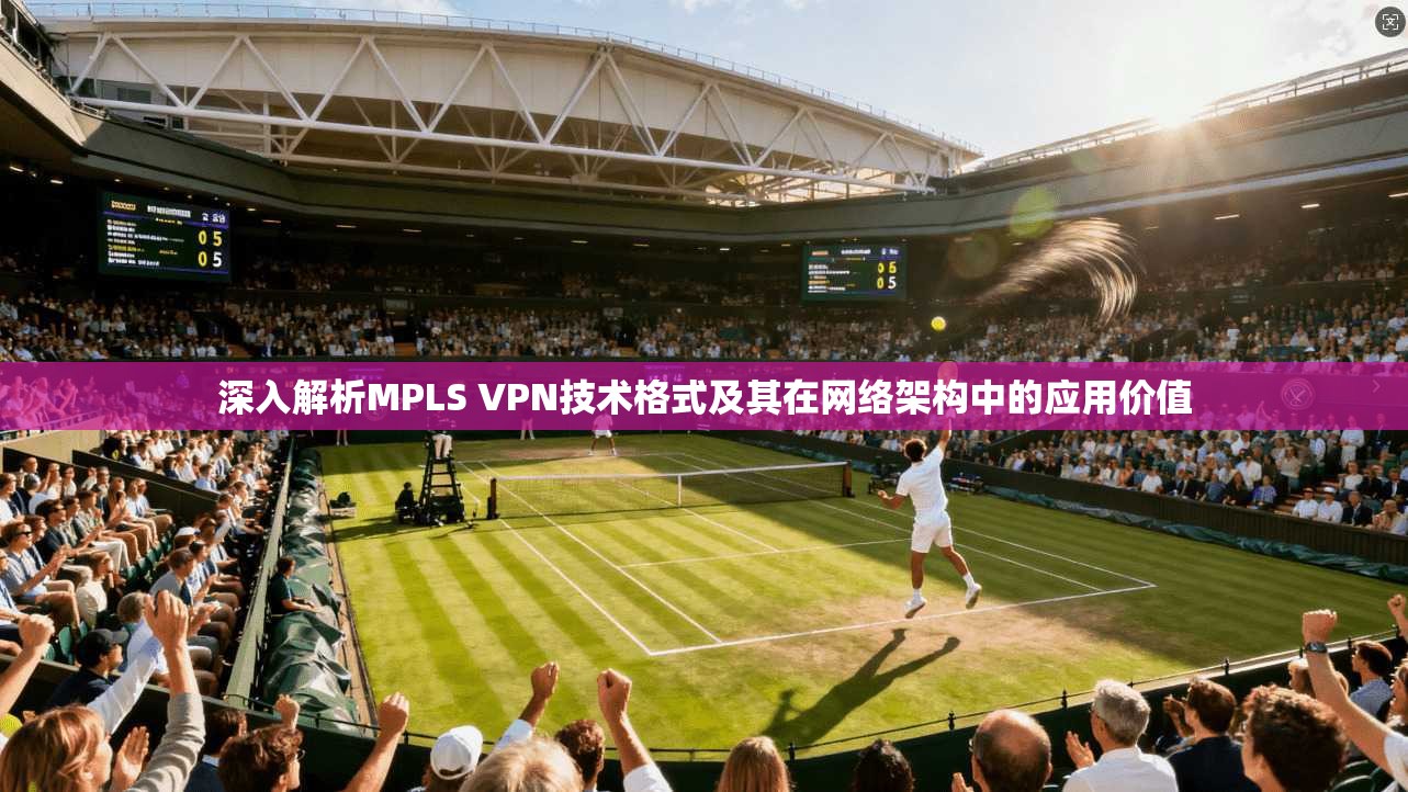 深入解析MPLS VPN技术格式及其在网络架构中的应用价值