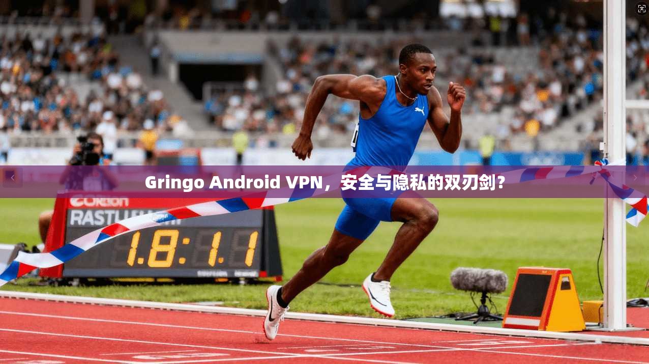 Gringo Android VPN，安全与隐私的双刃剑？