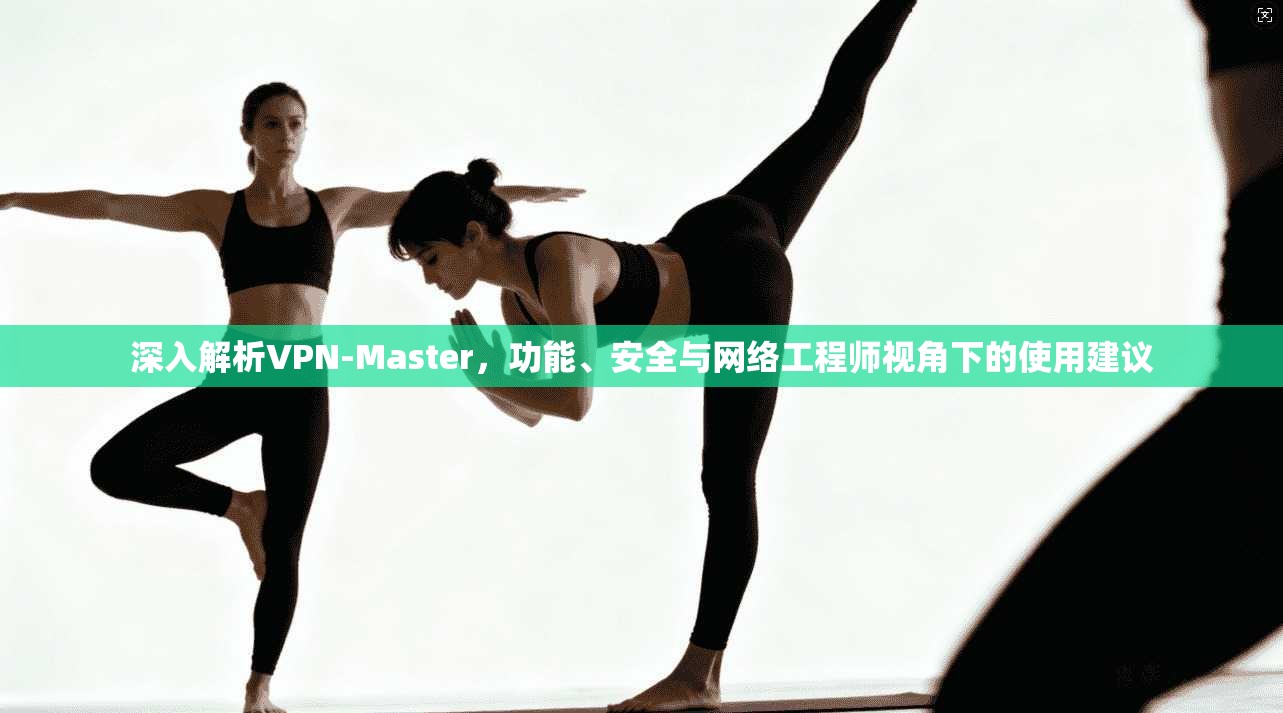 深入解析VPN-Master，功能、安全与网络工程师视角下的使用建议